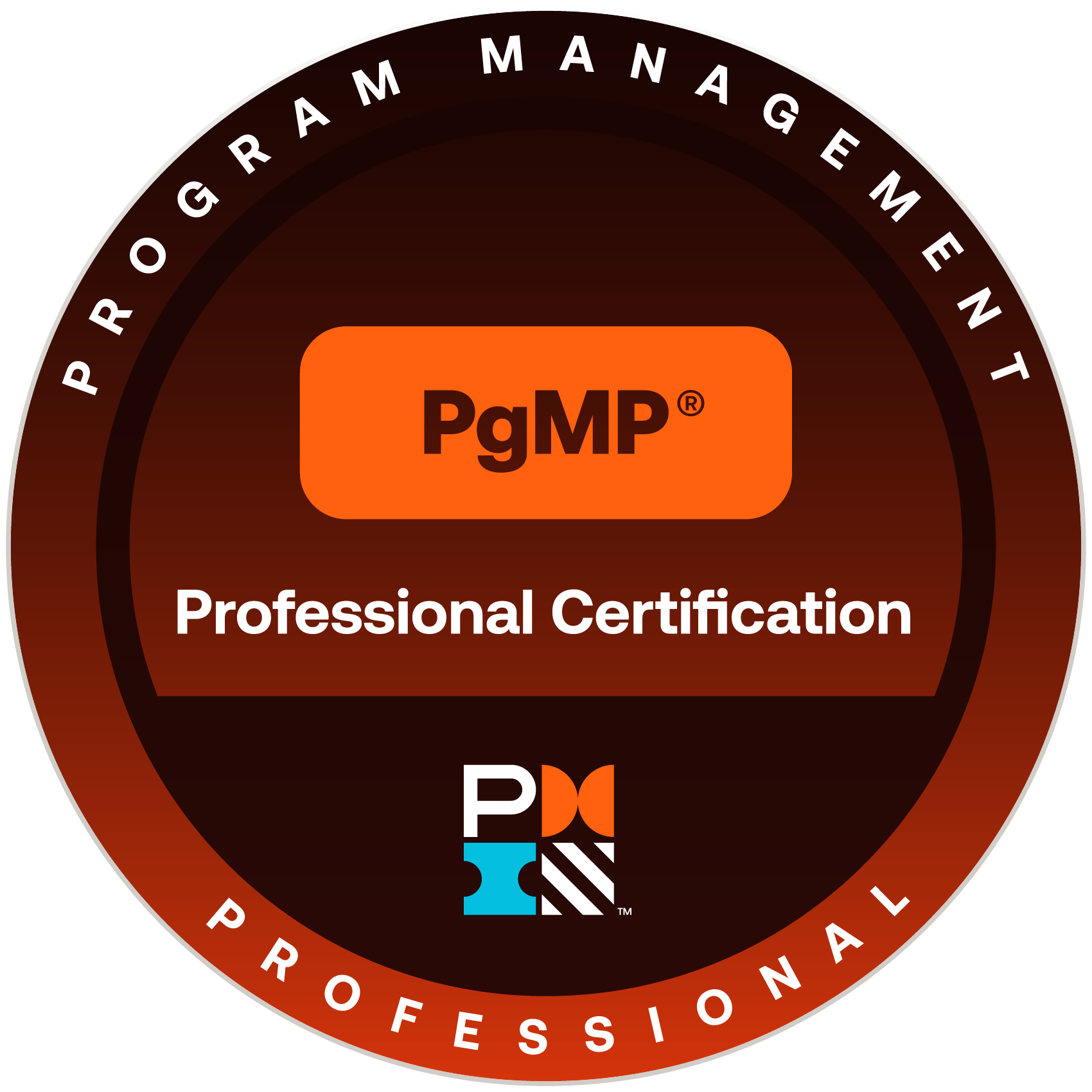 PgMP, Program Management Professional